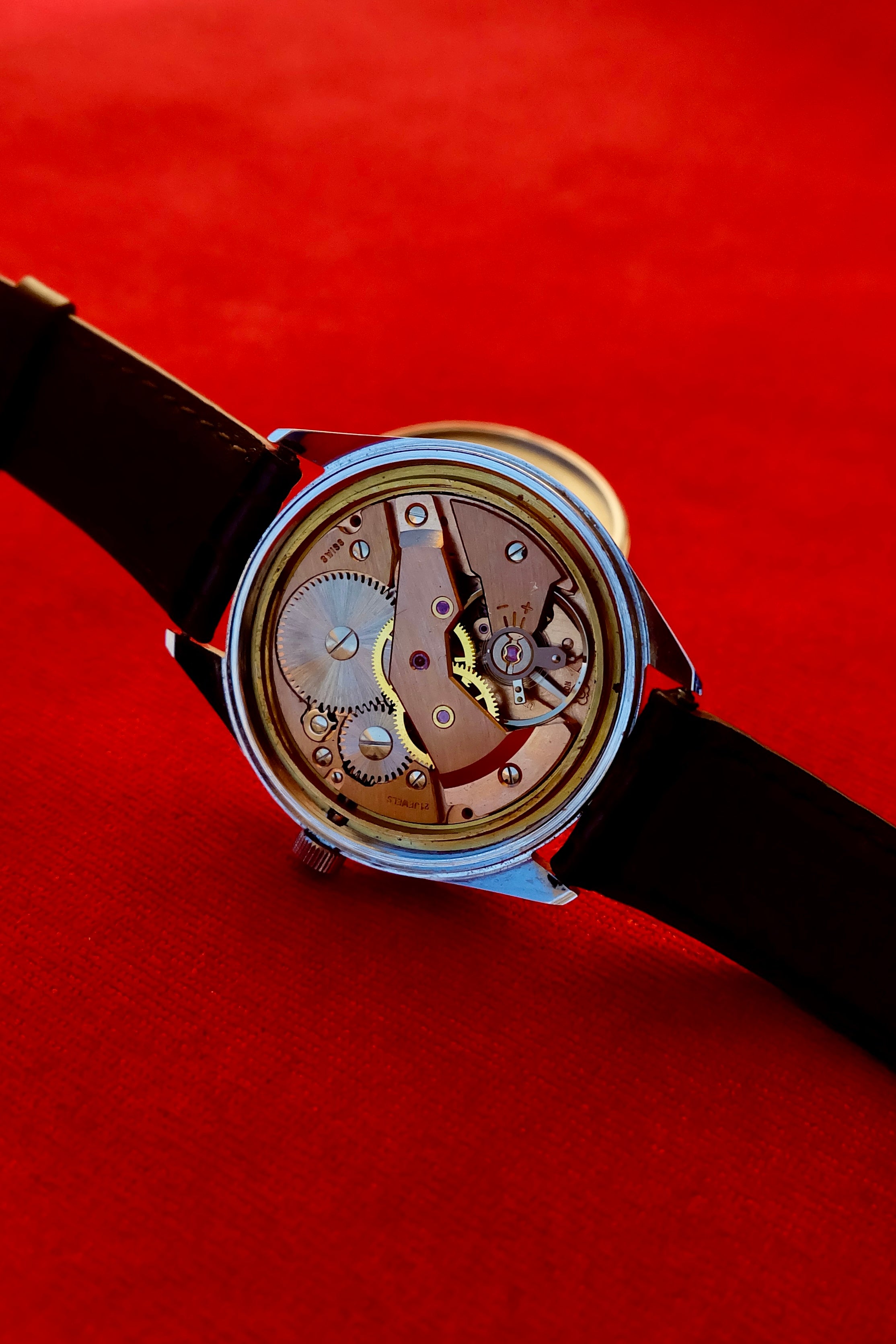 Copernicus Spaceliner