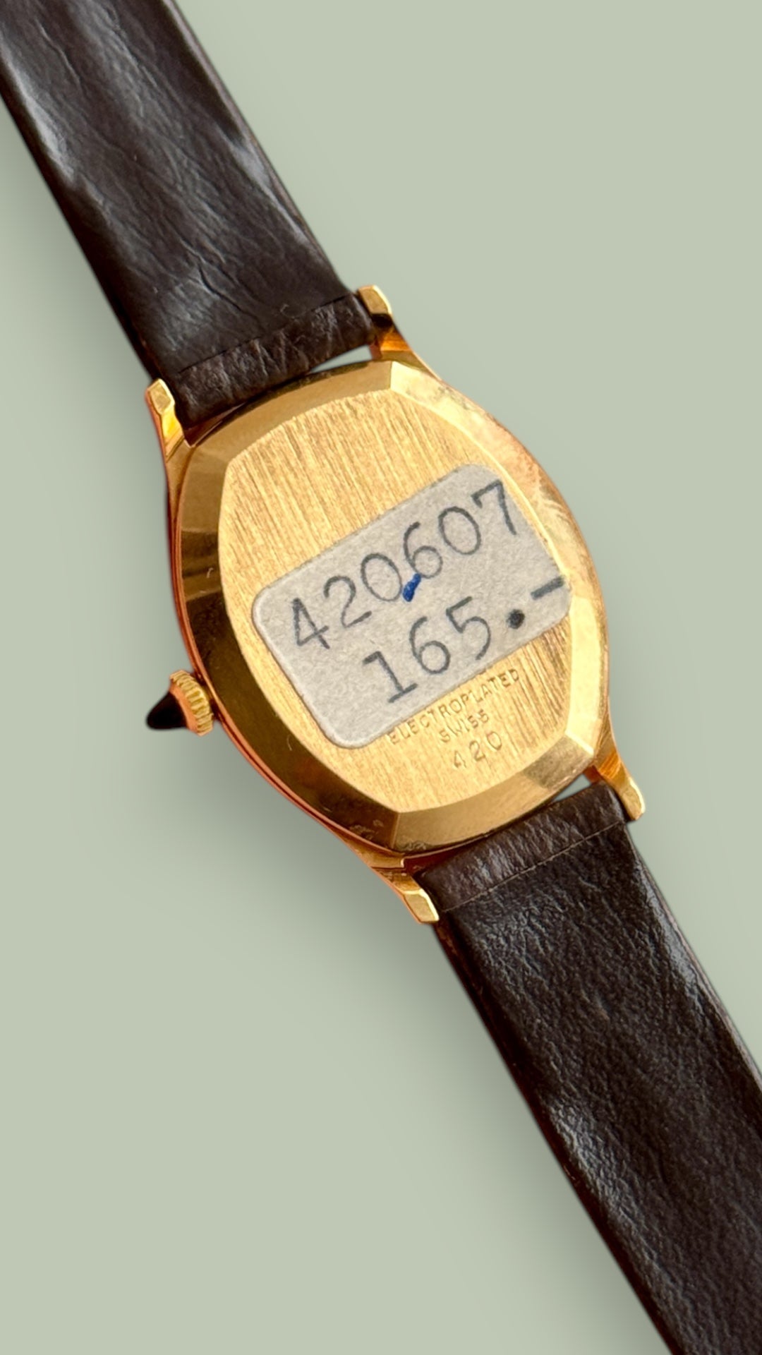 Herodia Ellipse lady