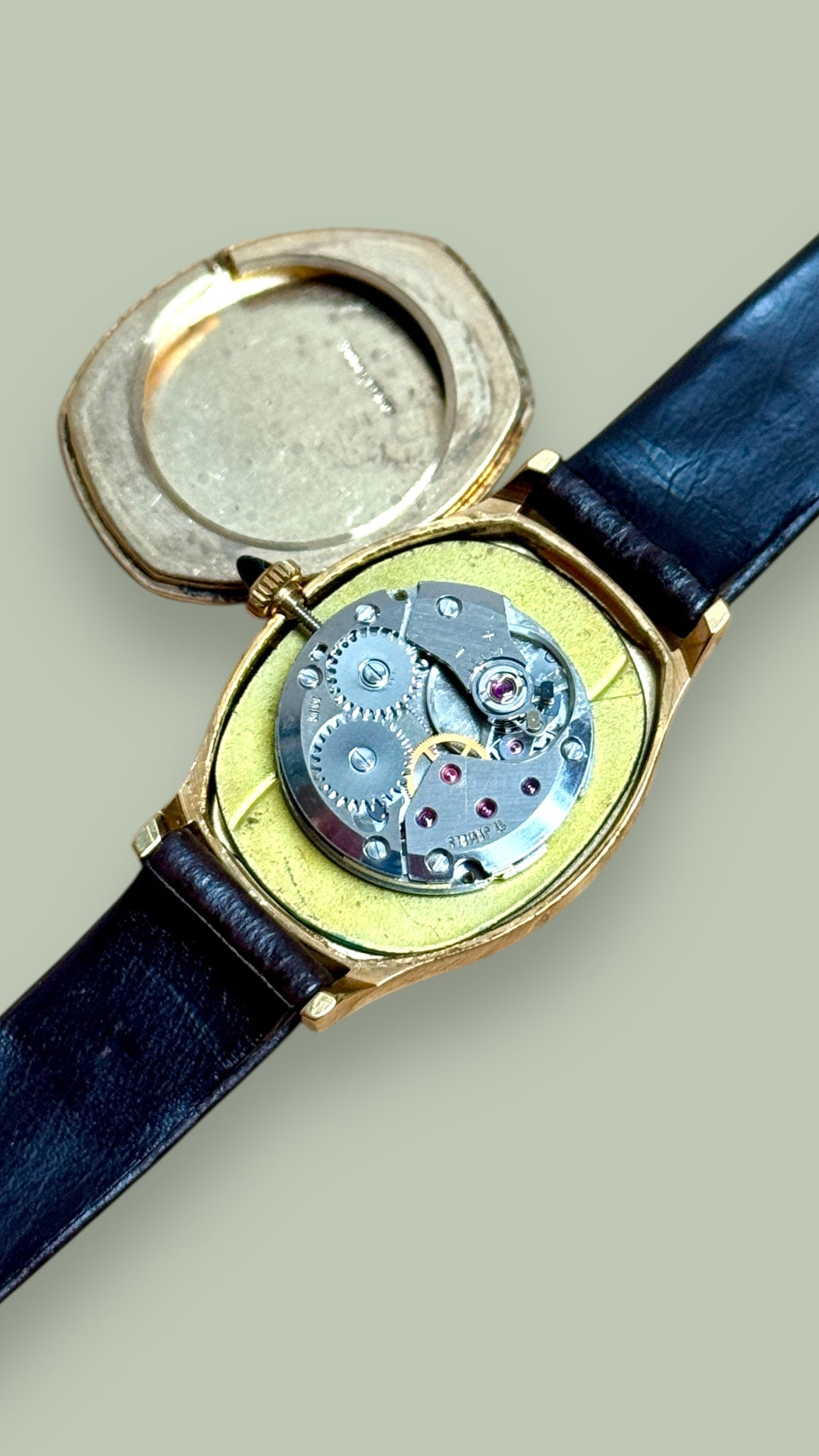 Herodia Ellipse lady